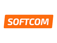 Auditorías de Seguridad Informática